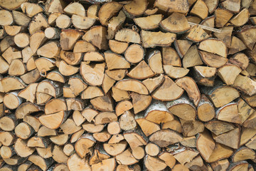 Tree trunk texture background
