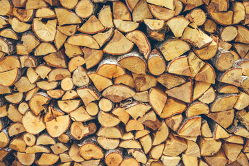 Tree trunk texture background
