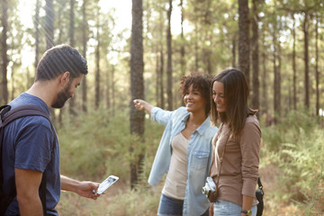 Three friends chatting in a forest