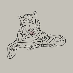 Sketch of tiger. Vector illustration drawn by hand.