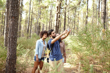 Naklejka na ściany i meble Friends taking pictures of pine trees