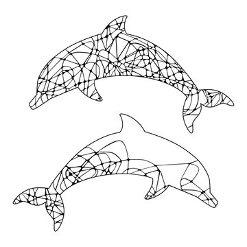 abstract outline of dolphin