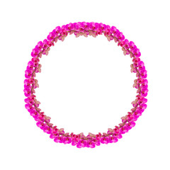 Round frame made from orchid flowers isolated on white