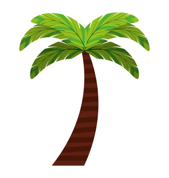 leafs natural palm tropical icon