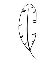 feather monochrome isolated icon