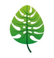 leafs plant decoration isolated icon