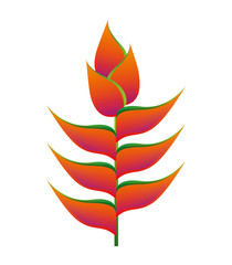leafs plant decoration isolated icon