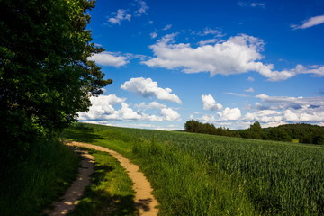 Summer countryside with green pasture and blue sky with clouds - Czech Republic, Europe