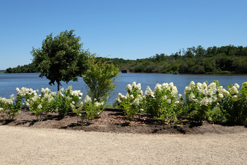 Lac de Mimizan,