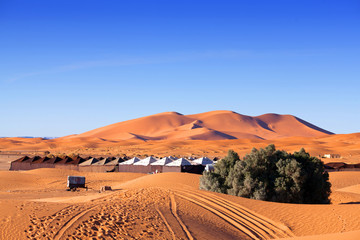 Sand dunes in Sahara desert in Africa