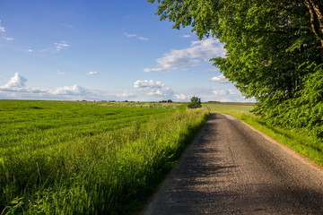 Summer countryside with green pasture and blue sky with clouds - Czech Republic, Europe