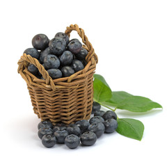Heidelbeeren, Vaccinium, Blaubeeren, Blueberries