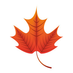 leafs plant decoration isolated icon
