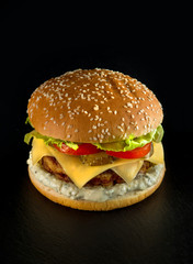 fresh tasty burger on black background