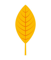 autumn leafs decoration season icon