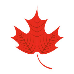 autumn leafs decoration season icon