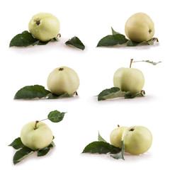 Collection of summer apples isolated on white background