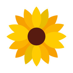 sunflower decoration isolated icon