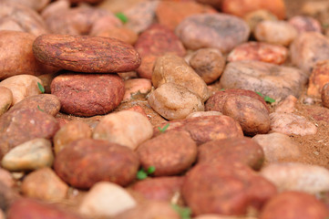 Close up of garden pebbles