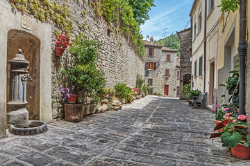 Fototapeta na wymiar Narrow old cobbled street with flowers in Italy