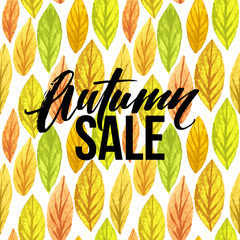 Autumn seasonal banner design. Fall leaf. Vector illustration