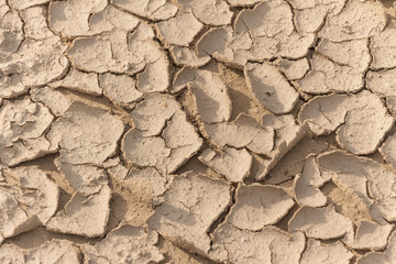 Dry and cracked ground texture