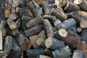 wood seamless background with stumps, tree cuts, logs, ecology background