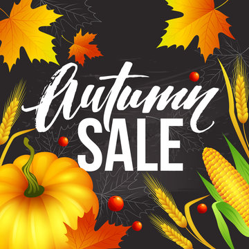 Design banner Autumn sale. Fall poster design with pumpkin, leaves and spikelets. Vector illustration