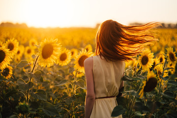 
woman in a field of sunflowers