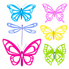 Fototapeta na wymiar color butterflies,isolated on a white