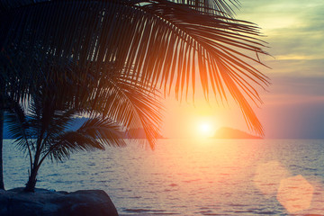 Fototapeta premium Sunset on the tropical Sea coast.