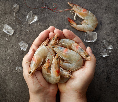 fresh raw prawns