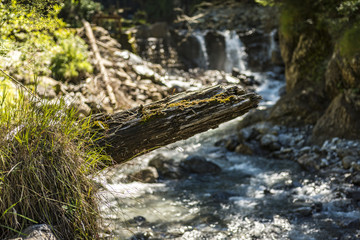 Abgebrochener Baumstamm vor Fluss mit kleinem Wasserfall
