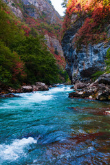 beauty nature scenery landscape background.  Nature composition.