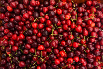 Sweet cherry.  cherry background