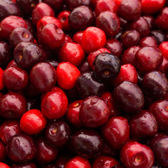 Sweet cherry.  cherry background