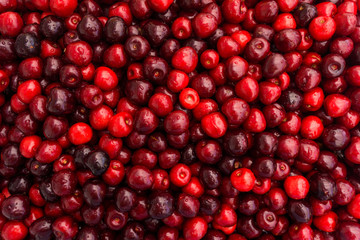 Sweet cherry.  cherry background