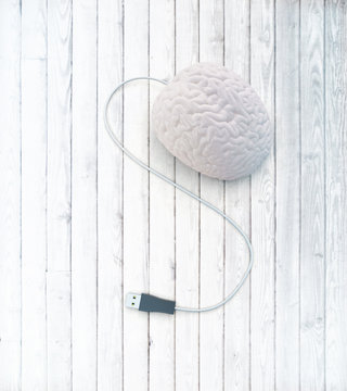 Brain Usb Plug