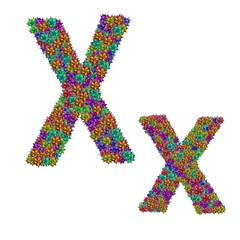 letter X made from bromeliad flowers isolated on white backgroun