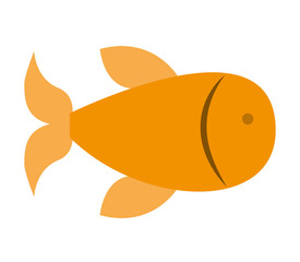 fish animal isolated icon