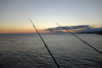 Fishing rods