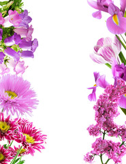 Fototapeta premium Frame of different flowers with space for text on white background.