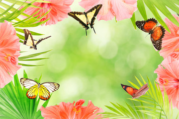 Fototapeta premium Frame of beautiful flowers, butterflies and palm leaves with space for text on blurred background.