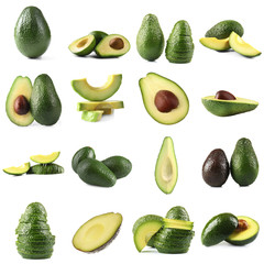 Fresh avocado collage isolated on white