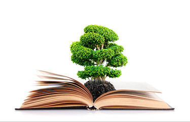 Book with green tree on white background.