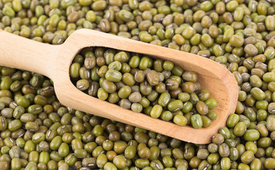 Pile of mung beans in the wood spoon