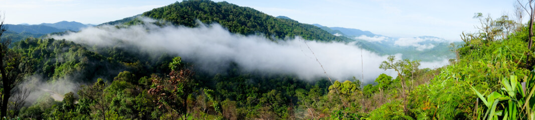 Fototapeta na wymiar Panorama of mountain view at Chong-Yen, Mae-wong Nation park