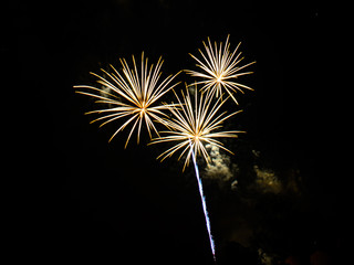 Colorful Fireworks in a Celebrating Night