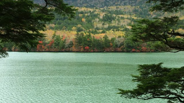 Japanese lake in autumn