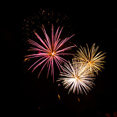 Colorful Fireworks in a Celebrating Night